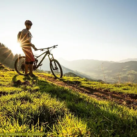 Alpenhof Hotel Westendorf