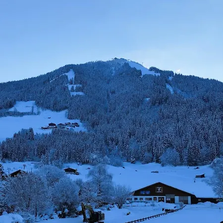 Hotel Alpenhof 3*