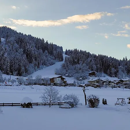 Alpenhof Hotel 3*