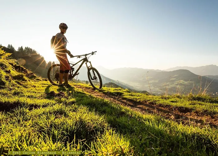 Alpenhof ホテル ヴェステンドルフ