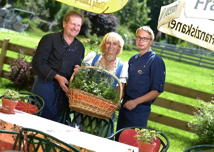 ホテル Alpenhof 3*