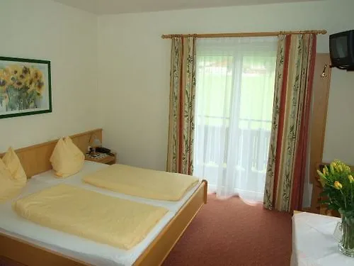 ホテル Alpenhof 3*